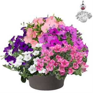 Afbeelding van HP30 XXL Mix 02